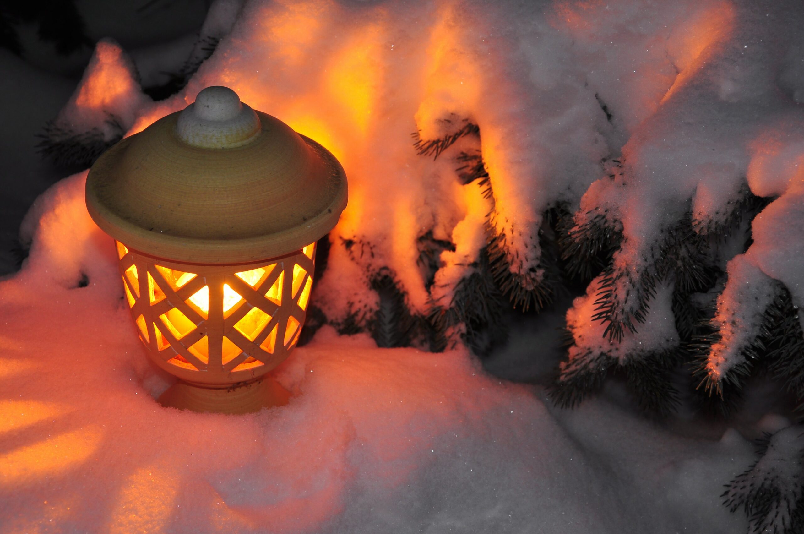 WELLNESS WEDNESDAY #79: ’Twas the Week Before Christmas